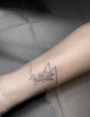 Little Cricket Tattoo – tattosy.com
