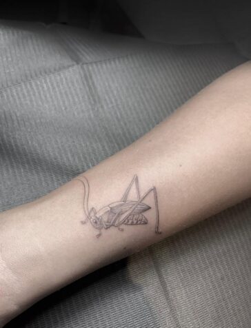 Little Cricket Tattoo