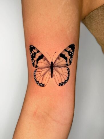 Butterfly Tattoo
