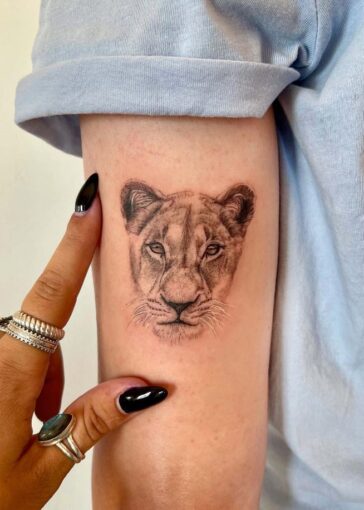 Lion Tattoo
