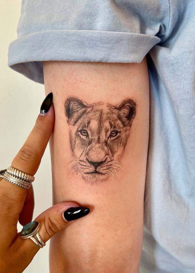 Lion Tattoo