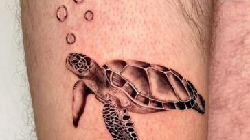 Turtle Tattoo