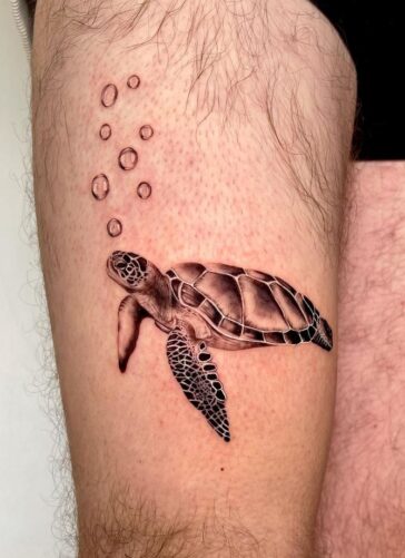 Turtle Tattoo